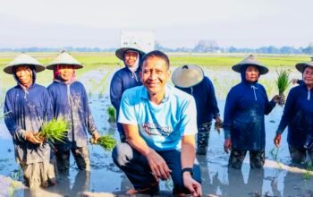 Bupati Setyo Wahono Medhayoh ke Desa Ngraho, Tinjau Tani dan Program Gayatri