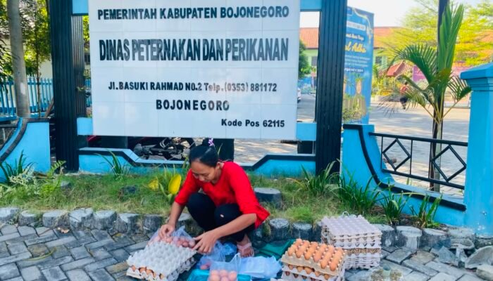 Disnakkan Bojonegoro Fasilitasi Pemasaran Telur Program GAYATRI