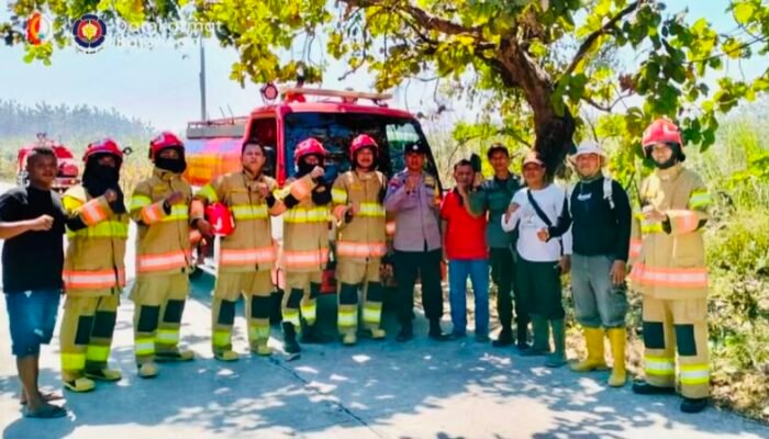 Damkar Bojonegoro Tangani 4 Kebakaran dalam Sehari