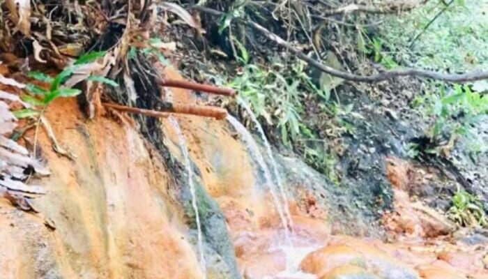 Mengenal Banyu Kuning, Wisata Air Panas Unik di Bojonegoro