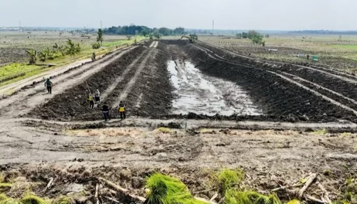 Dinas PU SDA Rehabilitasi Embung Rowoglandang Bojonegoro