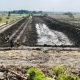 Dinas PU SDA Rehabilitasi Embung Rowoglandang Bojonegoro