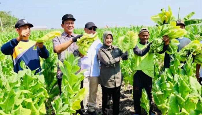 Bupati Bojonegoro Setyo Wahono Dialog Medhayoh di Desa Cengkir