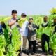 Bupati Bojonegoro Setyo Wahono Dialog Medhayoh di Desa Cengkir