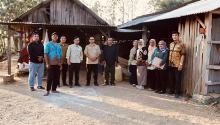 Terpilih Wakili Kabupaten, Kelompok Ternak Lembu Suro Kedewan Dinilai Tim Provinsi Jawa Timur