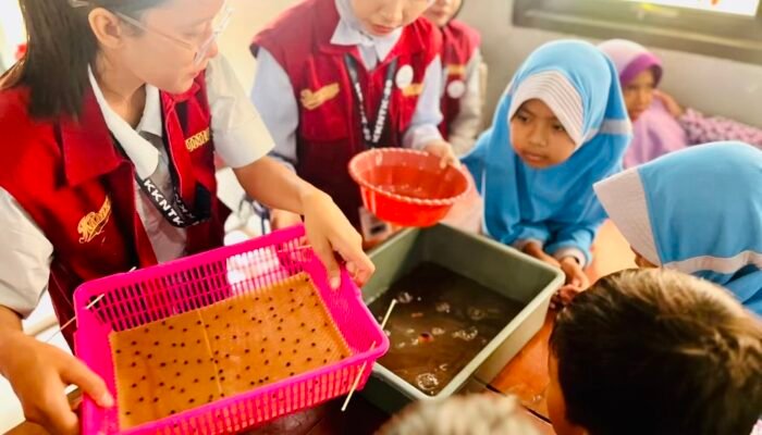 KKN-TK Kelompok 20 Universitas Bojonegoro Gelar Edukasi Hidroponik di SDN Med