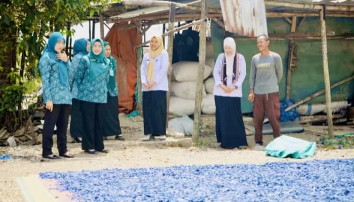 Daur Ulang Plastik di Desa Tebon Bojonegoro, Sampah Rumah Tangga Disulap Jadi Bayar Pajak