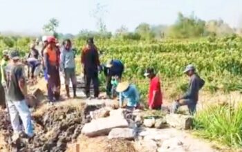 Warga Mediyunan Bojonegoro Gotong Royong Perbaiki Jalan Tani Rusak