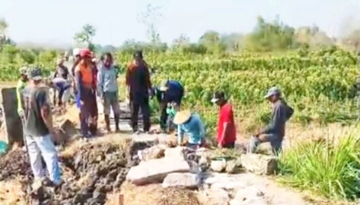 Warga Mediyunan Bojonegoro Gotong Royong Perbaiki Jalan Tani Rusak