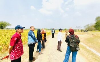 Lawan Kekeringan, Purwosari Bojonegoro Petakan Jaringan Air Bengawan Solo