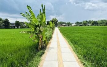 Bojonegoro Genjot Pembangunan 27,5 Km JUT Kelancaran Akses Petani