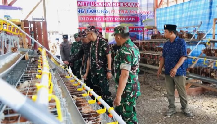 Prajurit TNI Bojonegoro Turun Sawah Bantu Panen Jagung