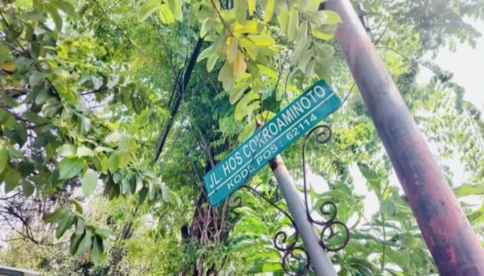 Bojonegoro Tambah Ruang Terbuka Hijau dan Taman Perbatasan