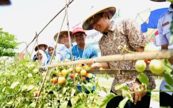 Pemkab Bojonegoro danEMCL Perkuat Ketahanan Pangan