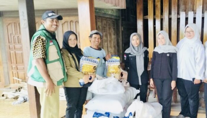 DKPP Bojonegoro Salurkan 589 Ton Benih Padi Unggul