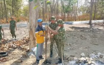 Sinergi Yonif TP-885 dan DLH Bojonegoro Tanam 500 Pohon