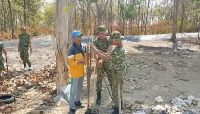 Sinergi Yonif TP-885 dan DLH Bojonegoro Tanam 500 Pohon