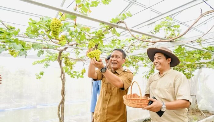 Pemkab Bojonegoro Dorong Desa Tlogorejo Jadi Sentra Lele Asap